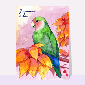 Carte Je pense à toi et perroquet vert bleu
