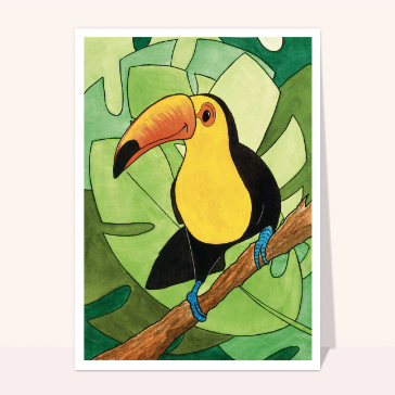 Dessin de toucan coloré Cartes avec des oiseaux