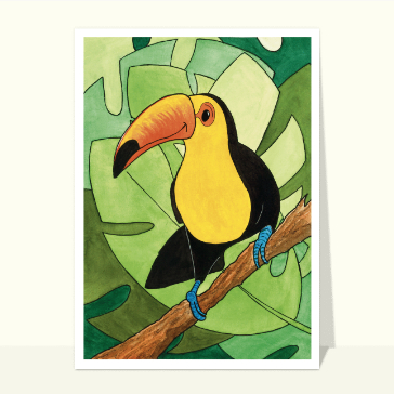 Dessin de toucan coloré