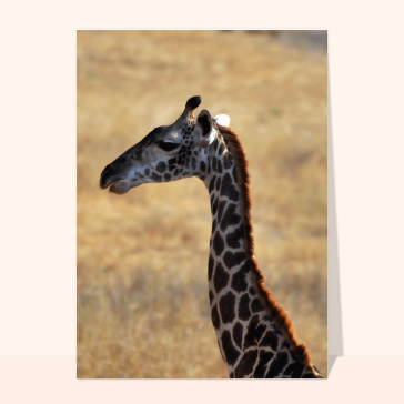 carte d'animaux : Profil de girafe