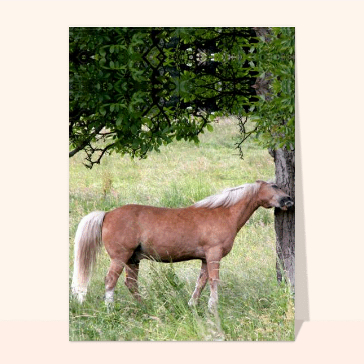 carte d'animaux : Cheval et arbre