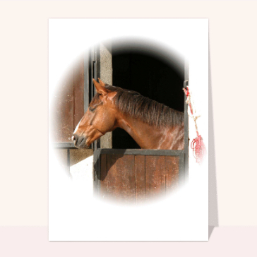 carte d'animaux : Cheval dans son box