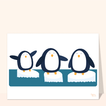 Discussion des 3 pingouins