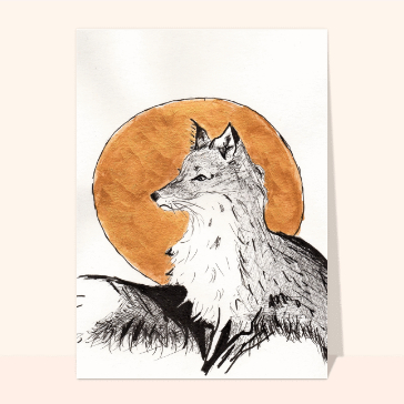 Un petit Renard