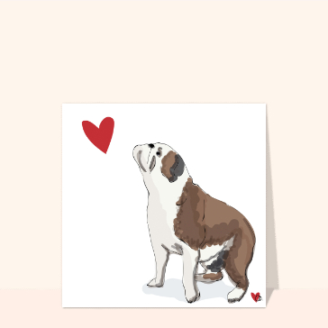 carte d'animaux : Amoureux des chiens