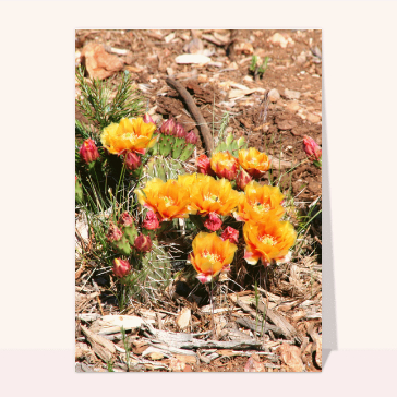 carte de nature : Cactus jaune