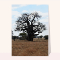 cartes de nature pour votre texte