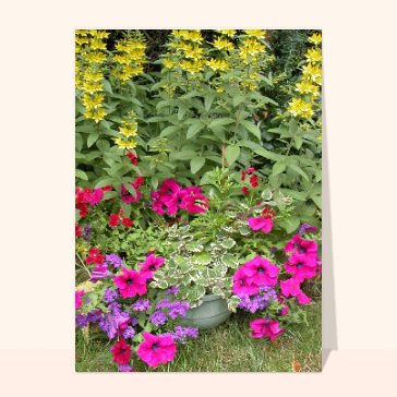Massif fleuri