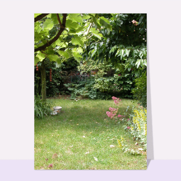 Petit jardin