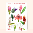 cartes de nature pour votre texte