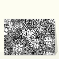 cartes de nature pour votre texte
