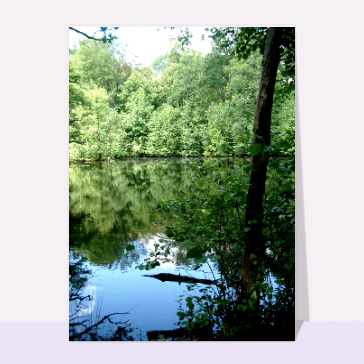 Paysages et nature : Lac dans la foret