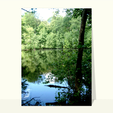 Lac dans la foret
