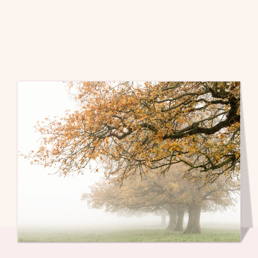 Brouillard de fin d`automne