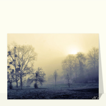 Carte Prairie dans la brume