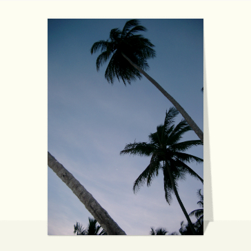 carte de vacances : Palmiers le soir