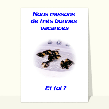Vacances et petits canards