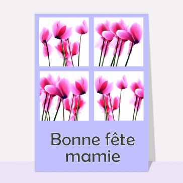 Fête des grand-mères avec orchidées