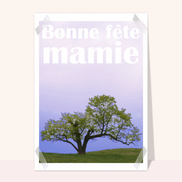 carte fête des grand-mères : Photo bonne fête mamie