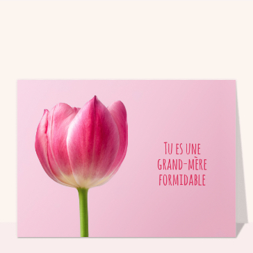 carte fête des grand-mères : Une fête des grand-mères formidable