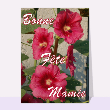 carte fête des grand-mères : Les roses tremieres de mamie