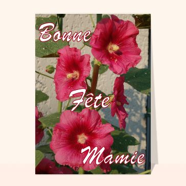 Les roses tremieres de mamie