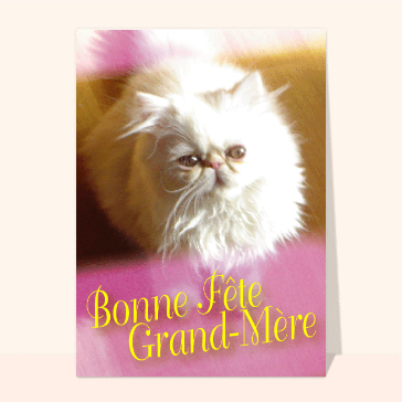 carte fête des grand-mères : Chat bonne fete grand-mere