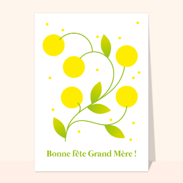 carte fête des grand-mères : Fleurs de soleil pour mamie
