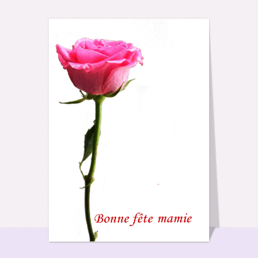 carte fête des grand-mères : Rose bonne fete mamie