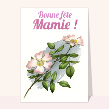 carte fête des grand-mères : Bonne fête mamie et roses sauvages