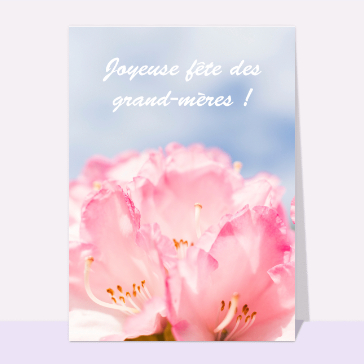 Joyeuse fête des grand-mères et fleur rose