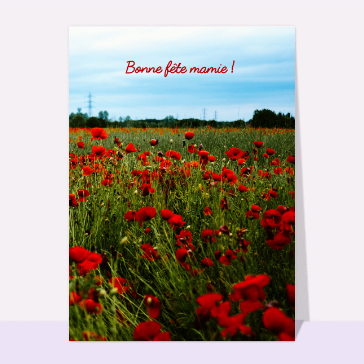 Bonne fête mamie champs de coquelicots