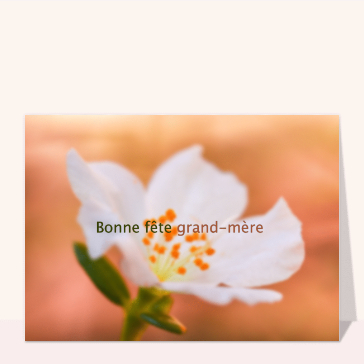Bonne fête grand-mère et fleur blanche
