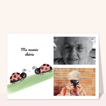 Coccinelle pour ma mamie chérie