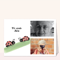 Cartes personnalisées fête des mamies pour votre texte