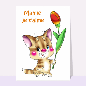 Petit chat fete des mamies
