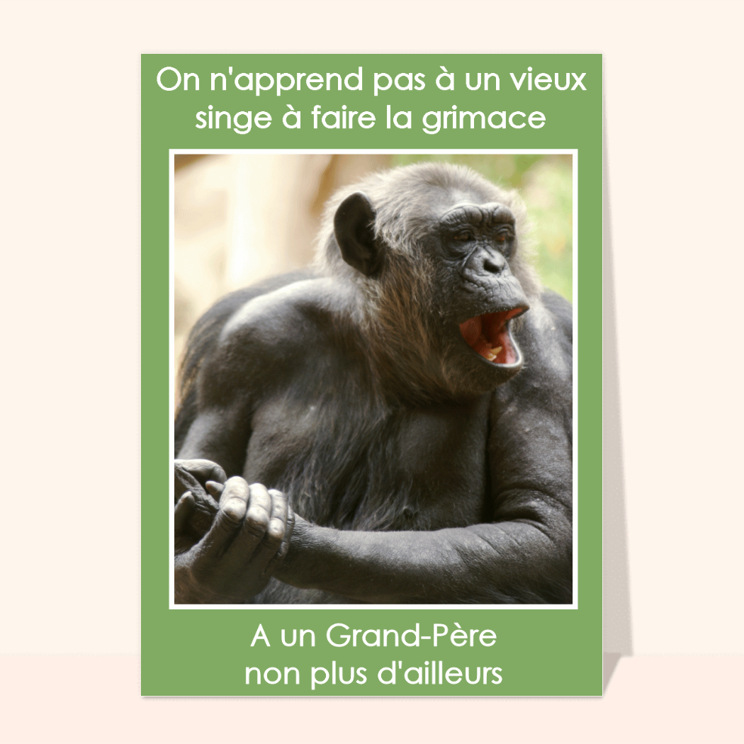 Un singe qui fait rire les grands-pères - envoi rapide