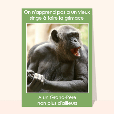 On n'apprend pas à un vieux singe à faire la grimace