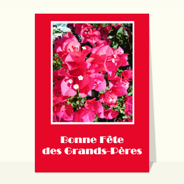 carte de fête des grands-pères : Fleurs bonne fête des grands-pères