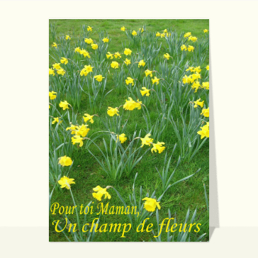 Fleurs pour toi maman