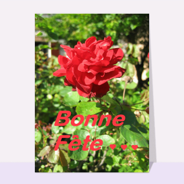 Bonne fete et rose