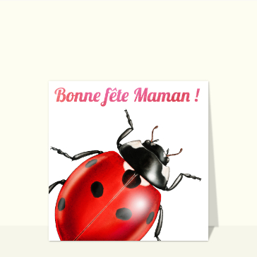 Carte Bonne fête maman et coccinelle