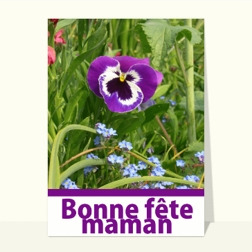 Carte fête des mères avec des fleurs : Bonne fête maman fleur violette
