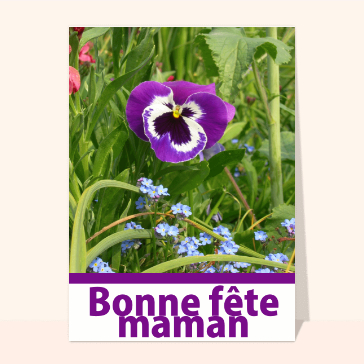 Bonne fête maman fleur violette