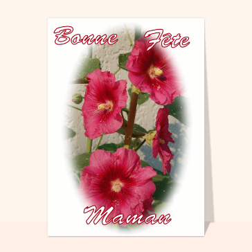 Carte fête des mères avec des fleurs : Les roses tremieres de maman