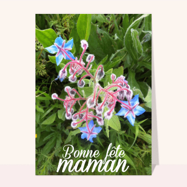 Carte fête des mères avec des fleurs : Maman et fleur de printemps