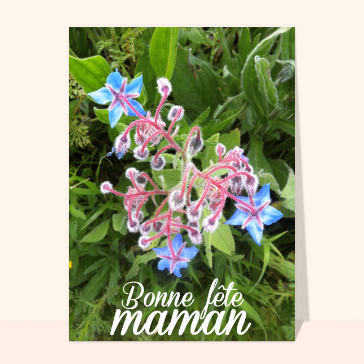 Maman et fleur de printemps