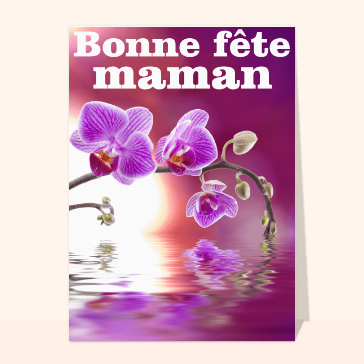 Bonne fête maman avec des orchidées