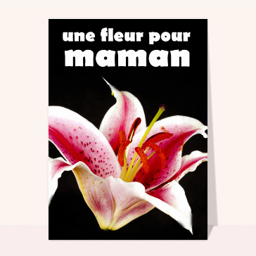 Carte fête des mères avec des fleurs : Une jolie fleur pour maman
