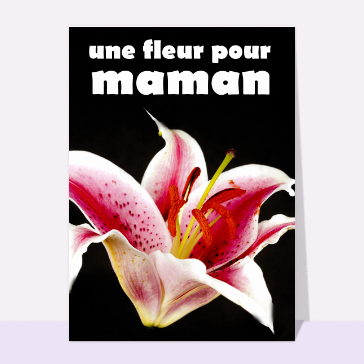 Une jolie fleur pour maman